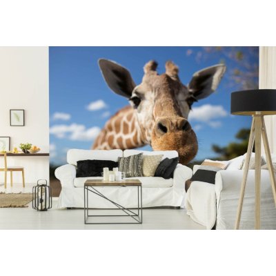 Dimex MA-5-0445 Samolepicí vliesová fototapeta na zeď Žirafí selfie rozměry 375 x 250 cm – Zboží Mobilmania