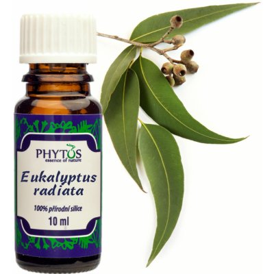 Phytos Eukalyptus radiata 100% přírodní silice 10 ml – Zbozi.Blesk.cz