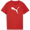 Dětské tričko Puma teamRISE Logo Jersey Cotton Jr 658707-01