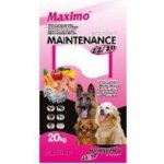 Delikan Dog MAXIMO Maintenance 20 kg – Sleviste.cz