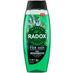 Radox Sprchový gel a šampon pro muže 2v1 Feel Invigorated 450 ml – Hledejceny.cz