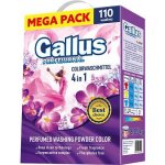 Gallus Profesional Color prací prášek 6,05 kg 110 PD – Hledejceny.cz