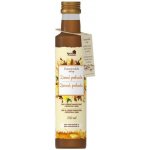 NaturProdukt Sirup Zimní pohoda 250 ml – Hledejceny.cz