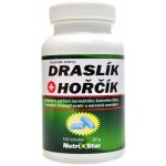 Nutristar Draslík + Hořčík 100 kapslí – Hledejceny.cz