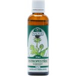 Naděje Ostropestřec mariánský z pupenů 50 ml – Hledejceny.cz