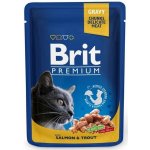 Brit Premium Cat Salmon & Trout 100 g – Sleviste.cz