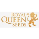 Royal Queen Seeds Special Queen semena neobsahují THC 5 ks – Sleviste.cz
