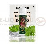 Bandidos Mint Menthol Shake & Vape 10 ml – Zboží Mobilmania