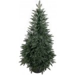 zanapo.cz Umělý stromek Smrk California 100% 3D v květináči 80 cm – Zboží Mobilmania