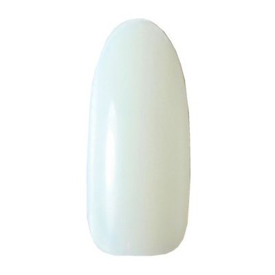 Divine cosmetics NT09 umělé nehty E-nail 40 ks – Zboží Dáma