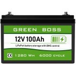 GREEN BOSS LIGHT LiFePo4 baterie 12V 100Ah – Hledejceny.cz
