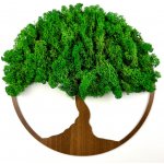 Dvě opice Mechový Strom života na zeď Materiál: ČERNÝ EBEN, Velikost (mm): 220 x 220 – Zboží Dáma