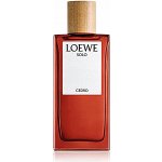 Loewe Solo Cedro toaletní voda pánská 100 ml – Hledejceny.cz