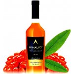 Himalyo Goji Originál 100% Juice Bio 0,75 l – Zboží Dáma