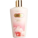 Victoria´s Secret Sheer Love tělové mléko 250 ml