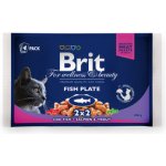 Brit Premium Cat Delicate Fillets in Gravy Cod fish Salmon and Trout 4 x 100 g – Sleviste.cz