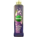 Radox Feel Relaxed Lavender & Waterlily pěna do koupele 500 ml – Zboží Dáma