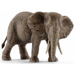 Schleich Africká slonice – Zboží Mobilmania