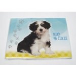 Karton P P Desky na číslice Pes – Zboží Dáma