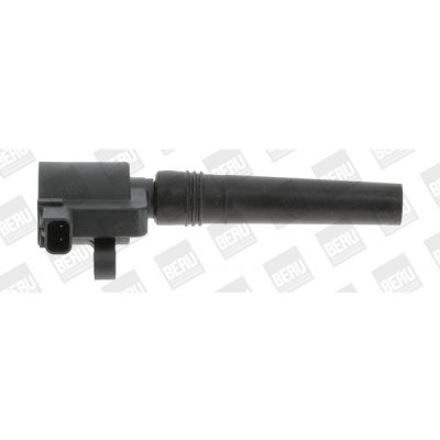 Zapalovací cívka BorgWarner (BERU) ZS368 – Hledejceny.cz