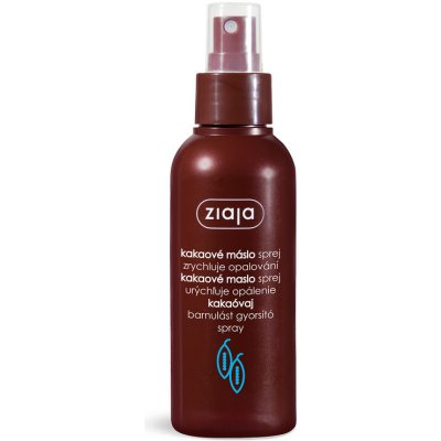 Ziaja kakaové máslo tělový spray 100 ml – Hledejceny.cz