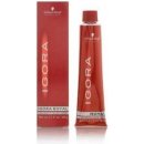 Schwarzkopf Igora Royal 6-68 tmavá blond čokoládová červená 60 ml