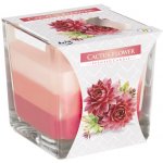 Bispol Aura Cactus Flower 170 g – Hledejceny.cz