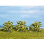 Noch citronovník 3ks 25115 – Zboží Mobilmania