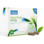Maca fresh energy 90 kapslí – Hledejceny.cz