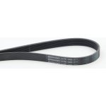 Drážkový řemen CONTINENTAL CTAM 6PK1005 – Zboží Mobilmania