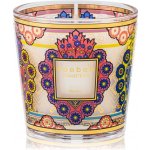 Baobab Collection My First Baobab Mexico 8 cm – Hledejceny.cz