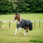 Horseware Deka výběhová Amigo 1200D navy titanium grey & silver – Zboží Dáma