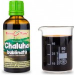 Bylinné kapky Chaluha tinktura 50 ml – Hledejceny.cz