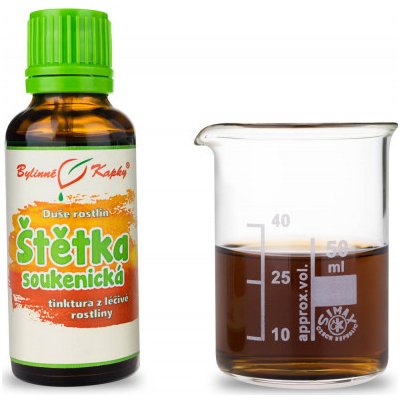 Bylinné kapky Štětka soukenická tinktura 50 ml – Hledejceny.cz