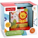 Fisher-Price Puzzle bloky – Zbozi.Blesk.cz