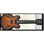 Ibanez AS 53 TF – Sleviste.cz