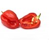 Osivo a semínko Semínka Piquant Paprička chilli HABANERO ROSSO