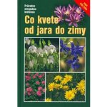 Co kvete od jara do zimy – Hledejceny.cz