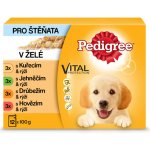 Pedigree Junior Multipack kapsičky 48 x 100 g – Hledejceny.cz