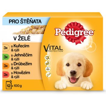 Pedigree Junior Multipack kapsičky 48 x 100 g