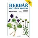 Herbář léčivých rostlin 6 - Josef A. Zentrich; Jiří Janča