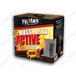 Fitmax Mass Active 5000 g – Hledejceny.cz