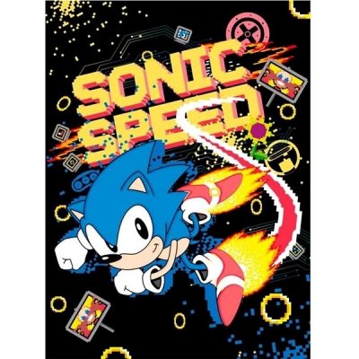 Plakát, Obraz - Sonic the Hedgehog - Speed, (61 x 91.5 cm) – Zboží Mobilmania