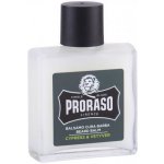 Proraso Cypress and Vetyver balzám na vousy 100 ml – Zboží Mobilmania