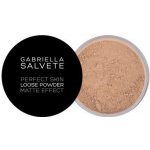 Gabriella Salvete Perfect Skin Loose Powder Matující pudr 02 6,5 g – Zboží Mobilmania