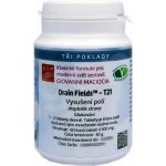 Giovanni Maciocia T21 Vysušení polí Drain Fields 60 tablet – Hledejceny.cz