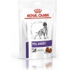 Pamlsek pro psa ROYAL CANIN Pill Assist Large Dog for Dog pamlsek k podávání tablet pro psy velkých plemen 224 g