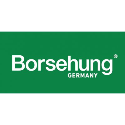 Borsehung Sada rozvodového řetězu BSH B12879 – Zboží Mobilmania