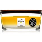 WoodWick Trilogy Fruits of Summer 453,6 g – Hledejceny.cz