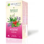 Megafyt Bylinková lékárna Kojení 20 x 1,5 g – Zbozi.Blesk.cz